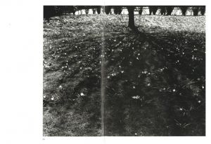 「LONDON NW1 Urban landscapes / David Bailey」画像5