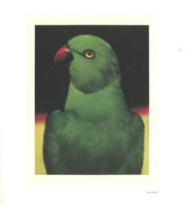 「FROM ONE SEASON TO ANOTHER / サラ・ムーン」画像4