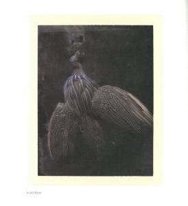 「FROM ONE SEASON TO ANOTHER / サラ・ムーン」画像10