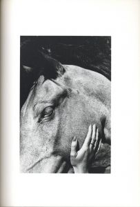 「DAYS AT SEA / Ralph Gibson」画像4