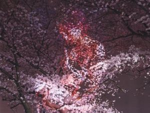 「洋子 / フォトグラファーハル」画像1