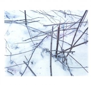 「TRAILS【SPECIAL EDITION WITH PRINT】 / 著：ホンマタカシ」画像7