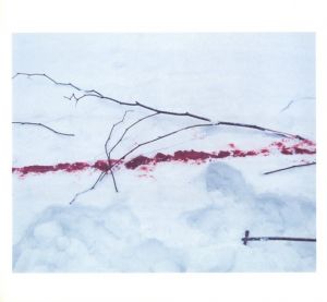 「TRAILS【SPECIAL EDITION WITH PRINT】 / 著：ホンマタカシ」画像6