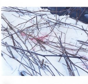 「TRAILS【SPECIAL EDITION WITH PRINT】 / 著：ホンマタカシ」画像1