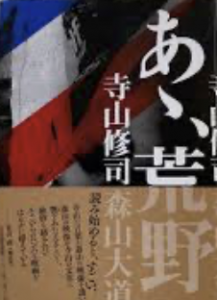 あゝ、荒野 / 著：寺山修司、森山大道