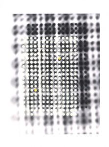 「Photographisme: William Klein, Gérard Ifert, Wojciech Zamecznik / Author: William Klein, Gérard Ifert, Wojciech Zamecznik」画像4