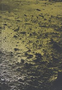 COSTA / José Pedro Cortes