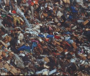 The Patriarch's Wardrobeのサムネール