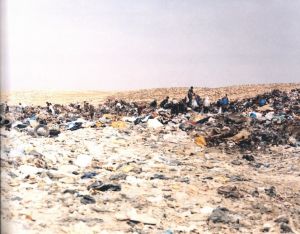 「The Patriarch's Wardrobe / Nick Waplington」画像4