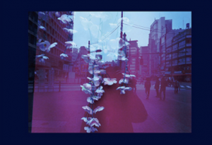 東京ブギウギ / 森山大道