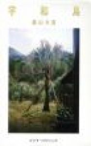 宇和島 / 森山大道