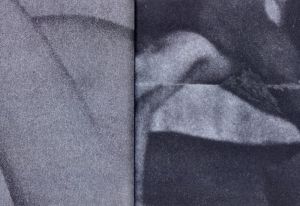 「HARDCORE / Tiane Doan na Champassak」画像2