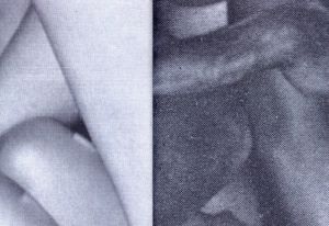 「HARDCORE / Tiane Doan na Champassak」画像9