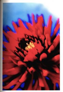 「Acid Bloom / Mika Ninagawa」画像2