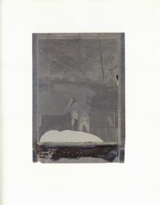 「almost / Guy Archard」画像4
