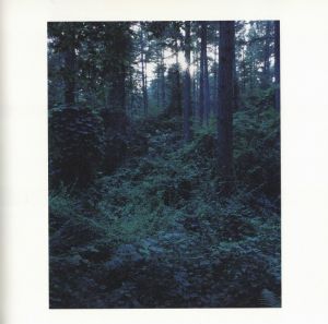 「Louis Vuitton Forest ルイ・ヴィトンの森 / 瀧本幹也」画像2