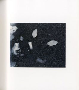 「パイロン / 写真：佐内正史　装丁：町口覚」画像2