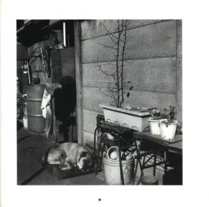 「WONDER LAND 1980-1989 / 大西みつぐ」画像5
