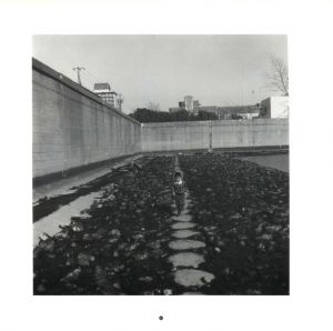 「WONDER LAND 1980-1989 / 大西みつぐ」画像13