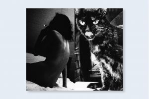 「HOW TO TOKYO AT NIGHT by Daido Moriyama / Daido Moriyama」画像7