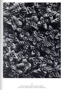 「KARL BLOSSFELDT　Art Form in Nature The Complete Edition / Photo: Karl Blossfeldt　Text: Gert Mattenklott」画像4