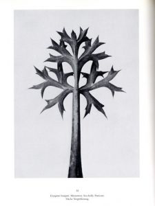 「KARL BLOSSFELDT　Art Form in Nature The Complete Edition / Photo: Karl Blossfeldt　Text: Gert Mattenklott」画像3