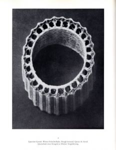「KARL BLOSSFELDT　Art Form in Nature The Complete Edition / Photo: Karl Blossfeldt　Text: Gert Mattenklott」画像2