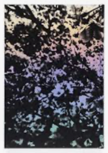 Daido Moriyama: Ango / 写真：森山大道　文：坂口安吾