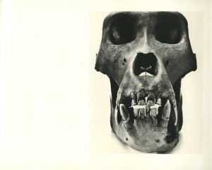 「Cranium Architecture / Irving Penn」画像2