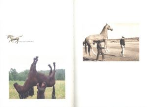 「Digital and Horses / Cheval Digital / Oliver Cablat & Sebastian Hau」画像2