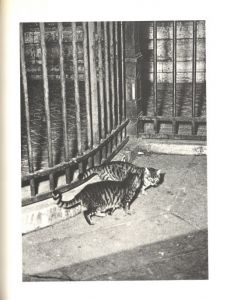 「PARIS DE NUIT / ブラッサイ」画像1