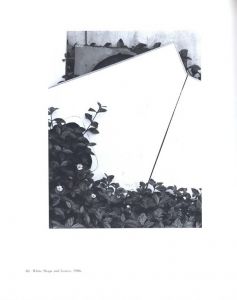 「Arnold Newman in Florida / Arnold Newman」画像5