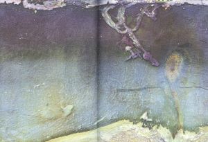 「Berlin / Daisuke Yokota」画像7