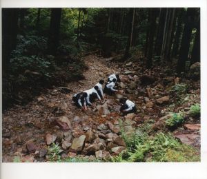 「Sasayama / Osamu Yokonami」画像1