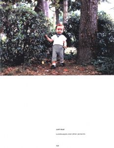 「Landscapes and Other Pictures / Jeff Wall」画像3