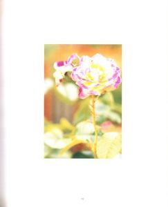 「STILL / Thomas Struth」画像2