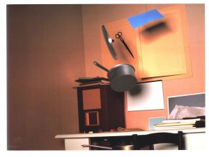 「Thomas Demand / Thomas Demand」画像4