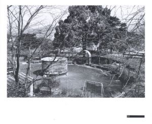 「背高あわだち草　尾仲浩二写真集　1988-91 / 尾仲浩二」画像4