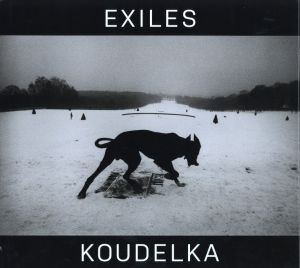 EXILESのサムネール