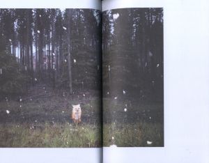「COMING HOME / Peter Sutherland」画像2