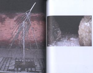 「COMING HOME / Peter Sutherland」画像3