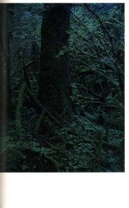 「クウィノルト / 著：上田義彦　編：都築響一　デザイン：葛西薫」画像4