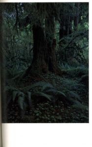「クウィノルト / 著：上田義彦　編：都築響一　デザイン：葛西薫」画像5