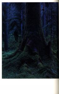 「クウィノルト / 著：上田義彦　編：都築響一　デザイン：葛西薫」画像9