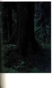 「クウィノルト / 著：上田義彦　編：都築響一　デザイン：葛西薫」画像10