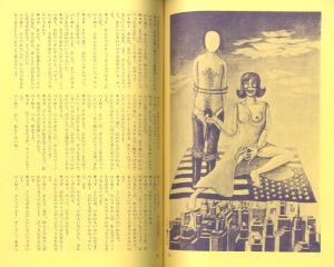 「季刊 地下演劇　創刊号 / 天井桟敷新聞 全縮刷版＜ヴィデオ・アンソロジー付録＞　2冊セット / 季刊 地下演劇　創刊号　編：前田律子　レイアウト：榎本了壱 / 天井桟敷新聞 全縮刷版　編：アップリンク」画像2